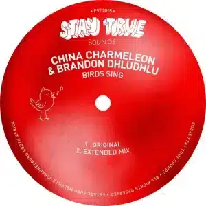 China Charmeleon & Brandon Dhludhlu - Birds Sing (Extended Mix)