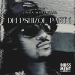 Linda Wase Vaal - Deepshizol, Pt. 1