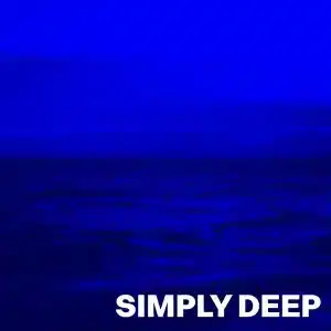 VA - Simply Deep, Vol. 3 (Compiled by Sneja)