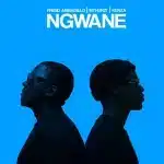 Frigid Armadillo, Kenza & Mthunzi - Ngwane