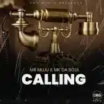 Mr Mluu & Mk Da Soul - Calling