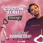 Rosetta D33P – Cotton Sensei Podcast Episode 37 (Guest Mix)