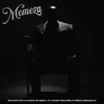 Soa Mattrix & Kabza De Small - Memeza ft. Starr Healer & Frigid Armadillo