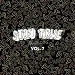 VA – Stay True Sounds Vol. 7 (Compiled By Kid Fonque)