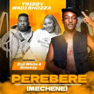 Tribby Wadi Bhozza - Perebere (Mechene) ft. Zoli White Smoke & SmeezyOn The Beat