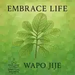 WAPO Jije – Embrace Life