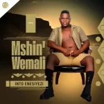 Mshinwemali – Ithathe ft. Senzo Ntuli