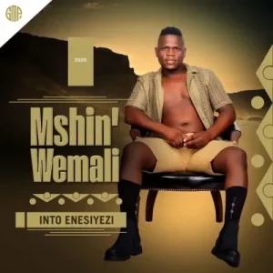 Mshinwemali - Ithathe ft. Senzo Ntuli