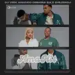 DJ Veek, Mawhoo, Criimora b.k.z & ChildDaDJ – Ama-HIT (iSalamu Alikho)