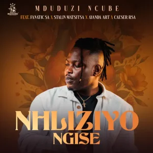 Mduduzi Ncube - Nhliziyo Ngise ft. Fanatic SA, Stallin, Caeser & Ayanda Art