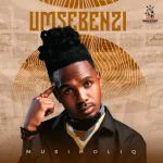 MusiholiQ - Umsebenzi MusiholiQ - Umsebenzi