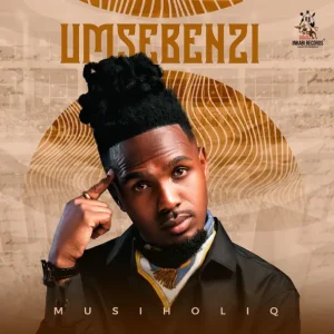MusiholiQ - Umsebenzi