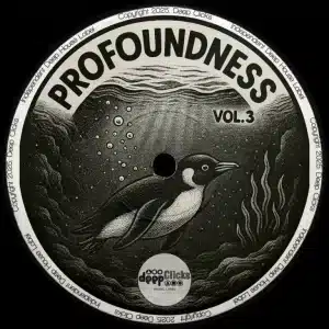VA - Profoundness, Vol. 3 EP