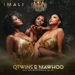 Q Twins & Mawhoo – Imali ft. Exclusive Drumz & Tee Jay
