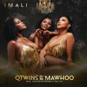 Q Twins & Mawhoo - Imali ft. Exclusive Drumz & Tee Jay