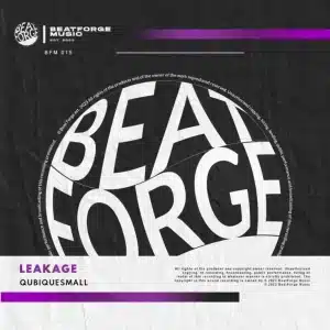 QubiqueSmall - Leakage
