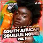 VA – South African Soulful House Vol. 8 EP