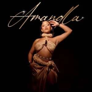 Zee_nhle - Amandla ft. DJ Stokie, Sobzeen, Faith Strings & Smavesh