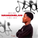 Andile Solo - Wamqomelani ft. Apee & Leko M