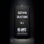 Bee Lunatic - Soothing Selections Vol. 002 (100% Production Mix)