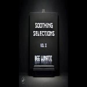 Bee Lunatic - Soothing Selections Vol. 002 (100% Production Mix)