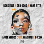 Bokkieult, DBN Gogo & Nana Atta - I Just Needed ft. Khadijah & DJ 2K