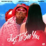 Malome Vector - Just To See You ft. Lizwi Wokuqala & Sannere Malome Vector - Just To See You ft. Lizwi Wokuqala & Sannere