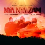Mellow & Sleazy & Tman Xpress - Nya Nya Zam ft. Lastborn Diroba, Zambezi & The Squad Mellow & Sleazy & Tman Xpress - Nya Nya Zam ft. Lastborn Diroba, Zambezi & The Squad