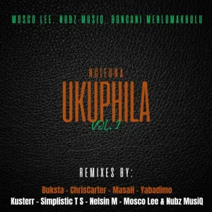 Mosco Lee & Nubz MusiQ - Ngifuna Ukuphila, Vol. 2
