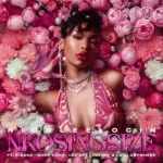 Nicole Elocin - Nkosi'ngsize ft. K-Zaka, Born Kxng, LeeArt & DJ Raybel Nicole Elocin - Nkosi'ngsize ft. K-Zaka, Born Kxng, LeeArt & DJ Raybel
