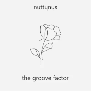 Nutty Nys - The Groove Factor