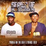 Phobla on the beat & Prince Zulu - Matepe Hala Hitt ft. Psychonic Vocalist Phobla on the beat & Prince Zulu - Matepe Hala Hitt ft. Psychonic Vocalist