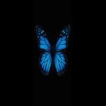 TRP Musiq – Butterfly Effect (100% Production)