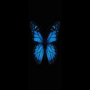 TRP Musiq - Butterfly Effect (100% Production)