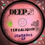 TebzaLiquid – Sonorous EP