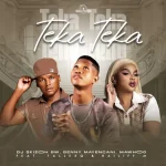 DJ Skizoh BW, Benny Mayengani, MaWhoo & TallexQ - Teka Teka ft. Bailiff M DJ Skizoh BW, Benny Mayengani, MaWhoo & TallexQ - Teka Teka ft. Bailiff M