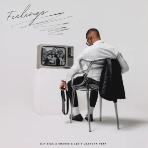Djy Biza & Shakes & Les - Feelings ft. Leandra.Vert