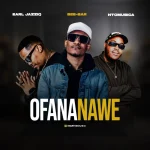 Earl JazziQ, Bee-Bar & NtoMusica – Ofana Nawe