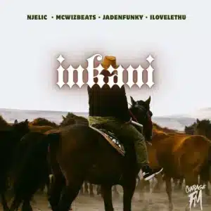 Njelic, McWizBeats, Jadenfunky & ilovelethu - Inkani
