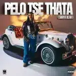 Pabi Cooper, Boohle & Focalistic – Pelo Tse Thata ft. Mulest Vankay & DJ Maphorisa