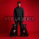 Sankomota – Now Or Never (Rivic Jazz Remix)