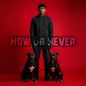 Sankomota - Now Or Never (Rivic Jazz Remix)
