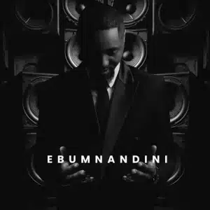 ALBUM: Shaun Stylist - Ebumnandini