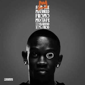 Tsebebe Moroke - For The Matured Promo Mixtape 100% Production Mix 22 (Year End Mixtape)