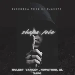 Blacko SA, TOSS & DJ Njabsta – Shapa Fela ft. Mulest Vankay, Novatron & Al Xapo