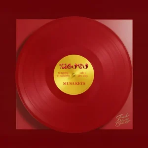 ALBUM: Musa Keys - Xigubu