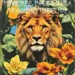 Pierre Dube, Enhle & M Vila – Impakamo