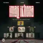 Tulz Madala, DJ Kafi & Springle - Imali Ikhona ft. Olley RSA, C'biya, Makhives101 & Fierce Tulz Madala, DJ Kafi & Springle - Imali Ikhona ft. Olley RSA, C'biya, Makhives101 & Fierce