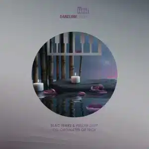 Blac Tears & Pelow Deep - Co-Ordinates of Tech (Undulative Tek Work)