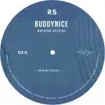 Buddynice – Nothing Special